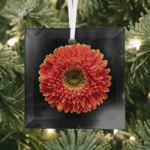 Ornement En Verre Fleurs   Orange Gerbera Daisy