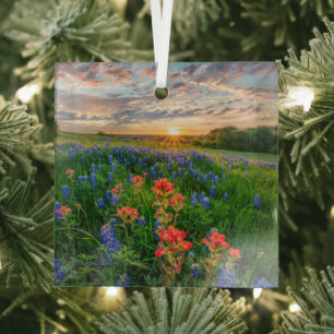Ornement En Verre Fleurs   Texas Bluebonnets & Indian Paintbrush