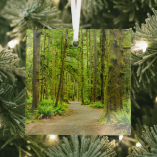 Ornement En Verre Forest   Parc national olympic