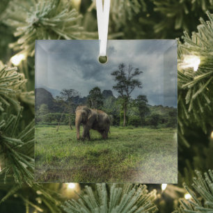 Ornement En Verre Forêt Parc national de Kao Sok