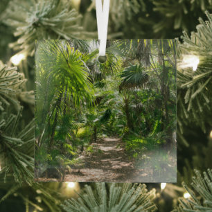 Ornement En Verre Forêt Tropical Rainforest Tulum Mexique