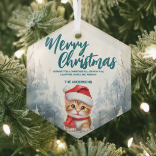 Ornement En Verre Funny Chat kitty Merry Xmas arbre neige Fête
