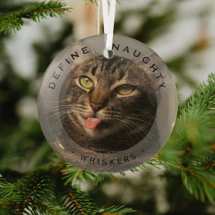 Ornement En Verre Funny Pet Définir Naughty Christmas Photo Glass