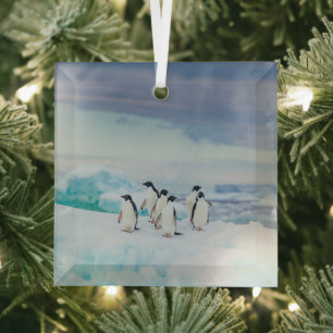 Ornement En Verre Glace et neige   Adelie Penguins Antarctique