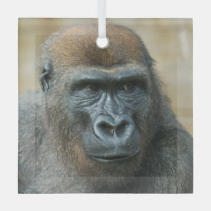 Ornement En Verre Gorilla Brothers - GoBros