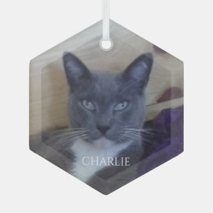Ornement en verre hexagonal PET LOVE