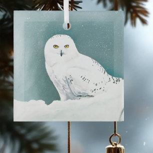 Ornement En Verre Hibou blanc ciel arctique hiver neige sarcelle