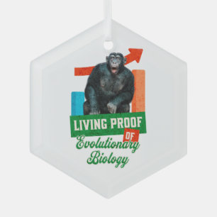 Ornement En Verre Humour Évolutionnaire Biologie Chimpanzé Drôle