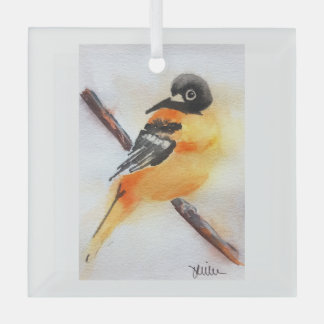 Ornement En Verre Joli Robin Aquarelle Noël
