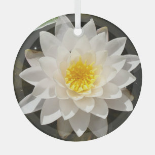 Ornement En Verre Lotus, Nénuphar blanc flottant
