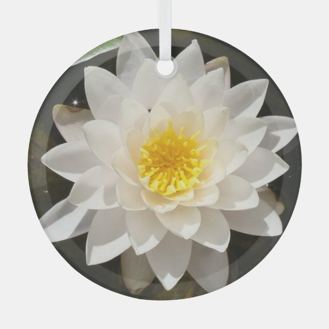 Ornement En Verre Lotus, Nénuphar blanc flottant (Recto)