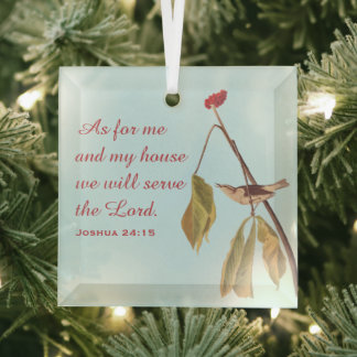 Ornement En Verre Louisiana Eau Grive et Bible Verse
