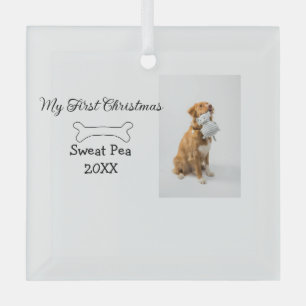 Ornement En Verre Ma première photo d'animal de Noël nom année os