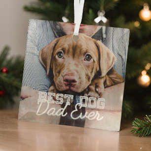 Ornement En Verre Meilleur Chien Papa Jamais Moderne Personnalisé An