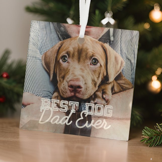 Ornement En Verre Meilleur Chien Papa Jamais Moderne Personnalisé An (Créateur téléchargé)