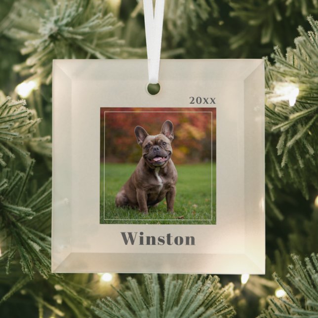 Ornement En Verre Modern Ivory Custom Pet Name Photo (Insitu)