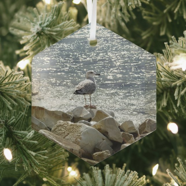 Ornement En Verre Mouette et mer (Insitu)