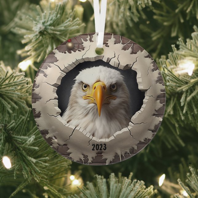 Ornement En Verre Noël à Bald Eagle (Insitu)