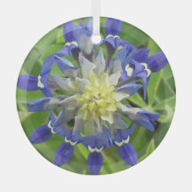 Oeil du Texas Bluebonnet Ornament