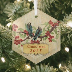 Ornement En Verre Oiseaux Vintages de Noël Turquoises rouges