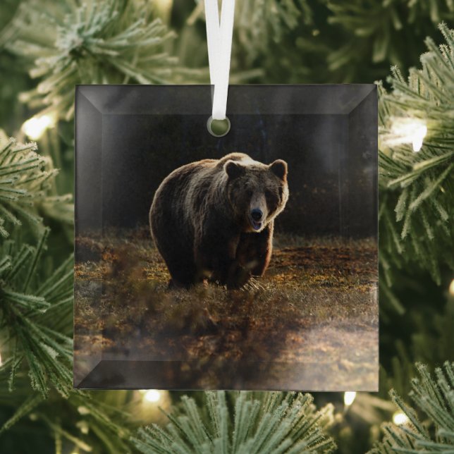 Ornement En Verre Ours (Insitu)