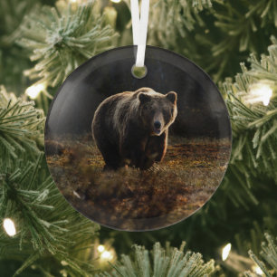 Ornement En Verre Ours