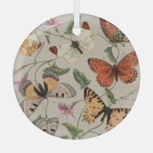 Ornement En Verre Papillon Moth Nature Collection Dessin
