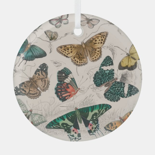 Ornement En Verre Papillons Collection Antique Papillons (Recto)