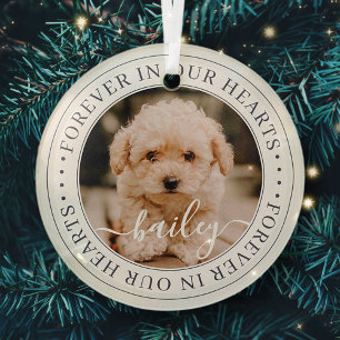 Ornement En Verre Pet Memorial Forever Hearts Élégant Photo Chic