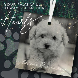 Ornement En Verre Pet Memorial Love Memory Simple Photo moderne