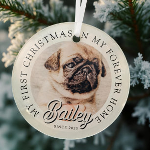 Ornement En Verre Pet's My First Christmas In Forever Home Modern