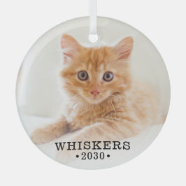 Ornement En Verre Photo de chat