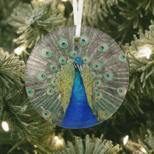 Ornement En Verre Photo Plumage Peacock bleu