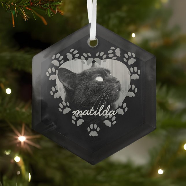 Ornement En Verre Photo pour animaux de compagnie Empreinte de patte (Just add your cat photo and name)