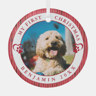 Ornement En Verre Photo pour animaux Mon premier Noël