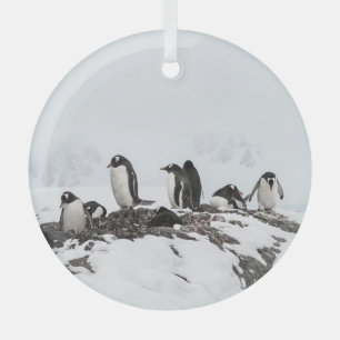 Ornement En Verre Pingouins Gentoo, Antarctique, station Vernadsky.