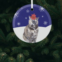 Poinsettia sur Tortoiseshell Chat with Snowy Hills