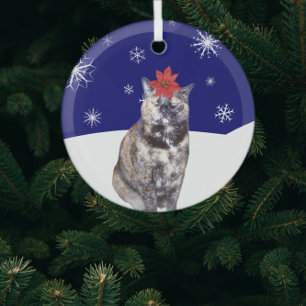Ornement En Verre Poinsettia sur Tortoiseshell Chat with Snowy Hills
