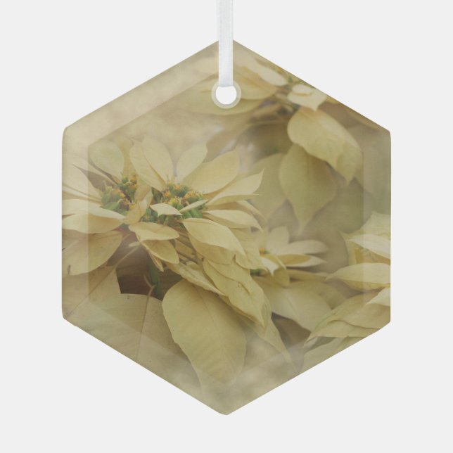 Ornement En Verre Poinsettias couleur crème Art numérique verre (Recto)