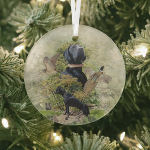 Ornement En Verre Pointer allemand