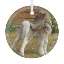 Pony