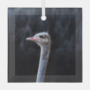 Ornement En Verre portrait d'autruche
