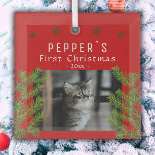 Ornement En Verre Premier chaton de Noël Chat Souvenir Photo