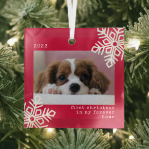 Ornement En Verre Premier Noël Dans Mon Forever Home Photo Chien