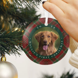 Ornement En Verre Première photo de Noël de l'animal domestique clas