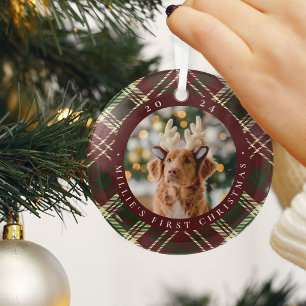Ornement En Verre Première photo de Noël de l'animal domestique clas