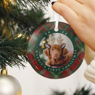 Ornement En Verre Première photo de Noël de l'animal domestique clas