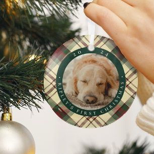 Ornement En Verre Première photo de Noël de l'animal domestique clas