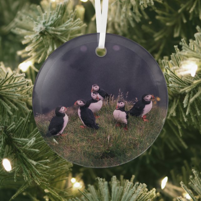 Ornement En Verre Puffins de l'Atlantique (Insitu)