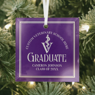 Ornement En Verre Purple Vétérinaire Diplôme de l'école Noël